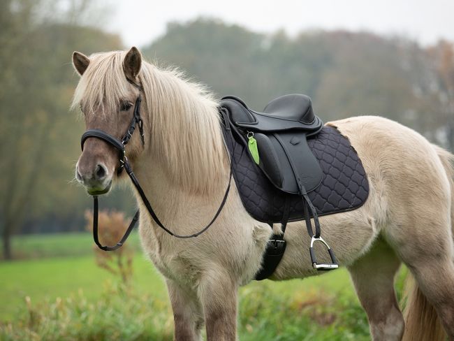 Barefoot Vegitex® Merlyn - Dressursattel