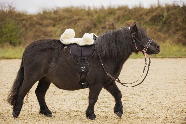 Sheep-wool seat kids with blocks