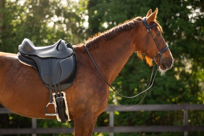 Barefoot® PRO 'Nottingham'