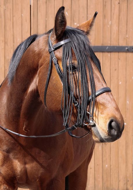 Stirnband Set 2-in-1 mit Fliegenschutz