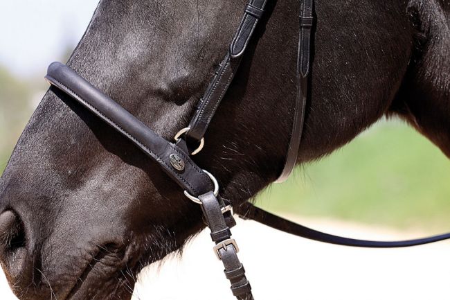 'Shape It' Noseband