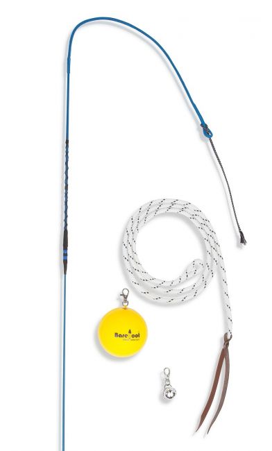 Barefoot® 'Communication' Trainer-Stick 4-in1