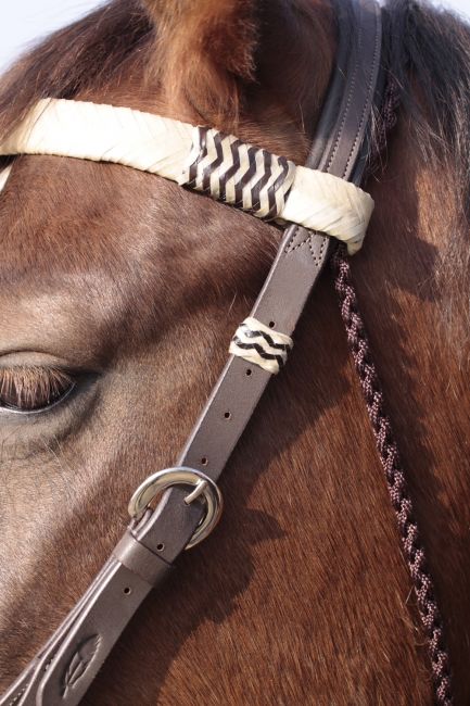 'Acorn' Bridle 2-in-1 with genuine rawhide