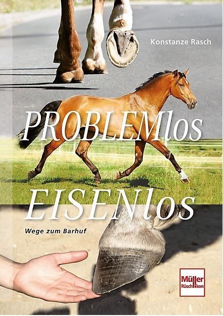 Konstanze Rasche - Problemlos Eisenlos