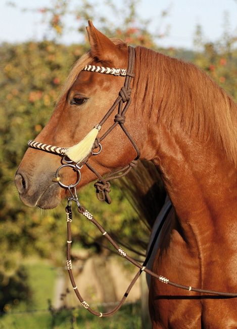 Riding Halter 3-in-1 'Seneca'