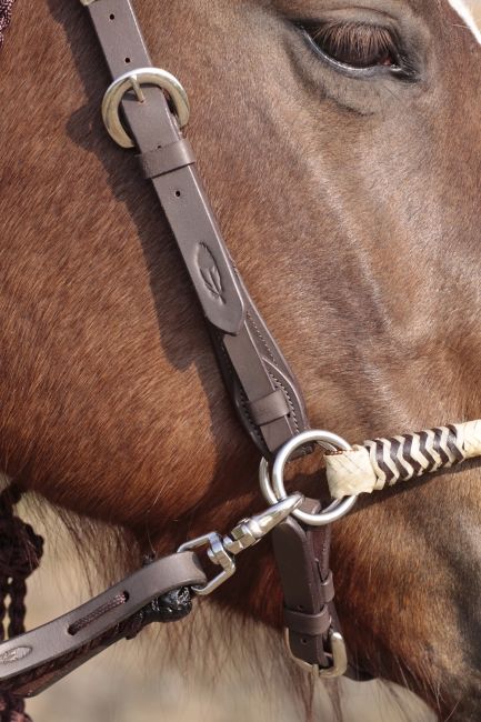 'Acorn' Bridle 2-in-1 with genuine rawhide