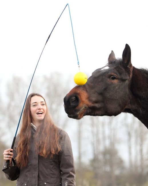 Barefoot® 'Communication' Trainer-Stick 4-in1