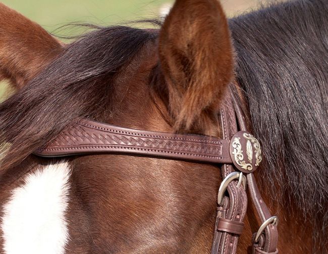 'Missoula Nut' Headstall