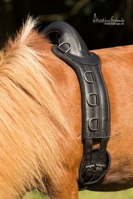 Barefoot® Longiergurt, Pony