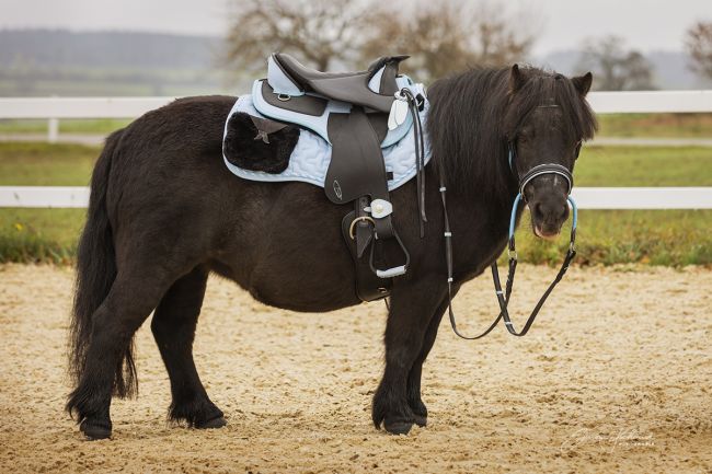 Barefoot® 'Arizona Bellis' Saddle