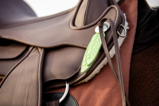 Barefoot VegiTex® 'Arizona'