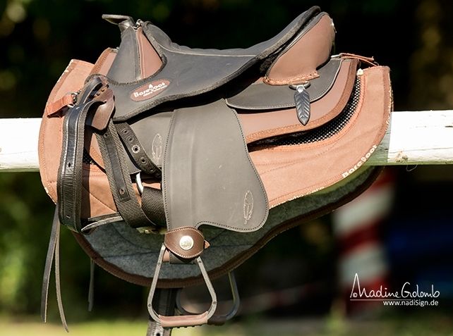 Barefoot® 'Arizona Barry'